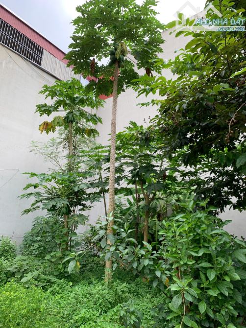 Đất đấu giá 80m2 -lô góc, 2 mặt tiền - phân lô -kinh doanh - mặt tiền 17m -16,99tỷ.Sổ đẹp - 4