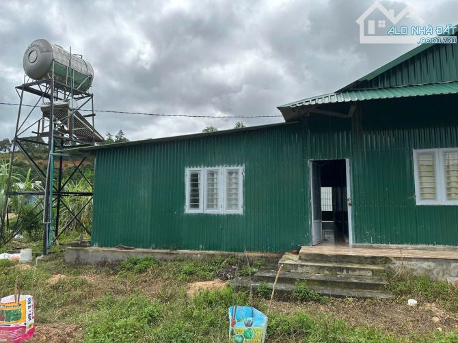 🥰 Bán nhà vườn 2820m2 Tại Đạ Đờn, Lâm Hà Lâm Đồng. - 9