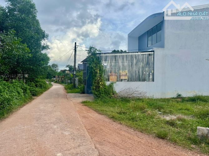 Bán đất kiệt oto Tôn Thất Sơn cách trục Trưng Nữ Vương  800m2 - 9