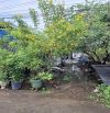 Bán đất hẻm ô tô đường 4 Trường Thọ Quận Thủ Đức giá 7 tỷ
