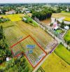 Bán 1000m2 đường ô tô gần NGÃ TƯ CHO TRẠM giá 1,9 tỷ SHR
