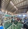 510m kho xưởng khu vực Ba La cần cho thuê, container đỗ cửa, xuất VAT, giá 100k/m