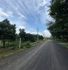Lô đất trồng mít tại An Long - Hồ Chí Minh đường nhựa cách dh507 200m. 540m2 giá 2tr2/m2