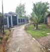 271m2 có thổ cư. Gần KCN Hiệp Thạnh. 6m ngang, 450tr