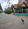 Cho thuê kho xưởng giá rẻ 3000m2 ở Tân Tạo, Bình Tân. Có PCCC, đường xe container. Gía 80k