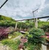 CẦN BÁN GẤP ĐẤT FARM KHÁNH PHÚ – KHÁNH VĨNH CHỈ 2TY8
