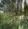 Bán đất Lạc Thuỷ, Hoà Bình 7000m2 Bám suối siêu đẹp giá rẻ chỉ có 3,5 tỷ