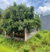 LÔ THỔ CƯ EATU - KM10 QUỐC LỘ 26 5x21m, 990Triệu