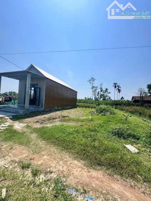 LÔ 2 MẶT TIỀN THOÁNG ĐẸP TẠI ĐÔNG LÂM - PHONG AN💥Giá 3xx triệu cho 139m²