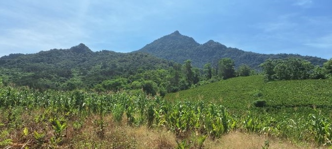 Chỉ 5.4tỷ, có ngày 3200m2 đất Hợp Sơn Ba Vì, 400m tc, oto tránh, view toàn cảnh.