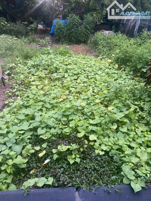 Bán đất Tặng nhà C4 Bồ Đề Long Biên- Oto tránh- Dân trí tuyệt Vời -50m nhỉnh 14tỷ