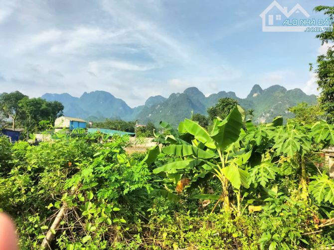 1260m ngay trung tâm thị trấn giá rẻ chỉ 3tr/m cần bán gấp Kim Bôi Hòa Bình