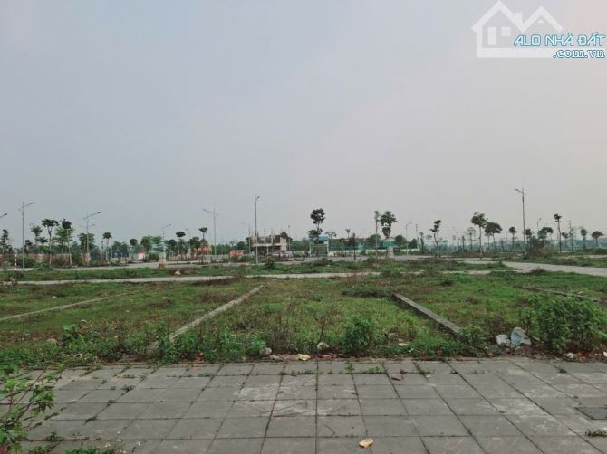 Bán đất Thuỵ Lâm 87.5m² – Đường ô tô vòng quanh, pháp lý chuẩn, đầu tư sinh lời