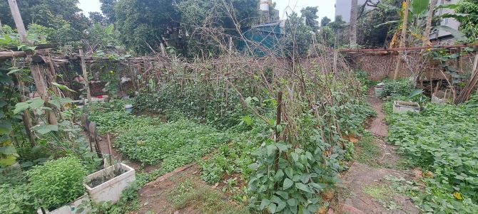 ☘THỬA ĐẤT ĐẸP  NGỌC THỤY - NGÕ NÔNG - THÔNG CÁC NGẢ -CÁCH Ô TÔ TRÁNH 15M.