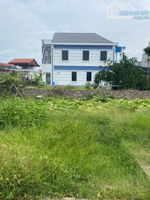 👉👉Đan Nhiễm - Khánh Hà - Thường Tín - HN ( cũ )  l