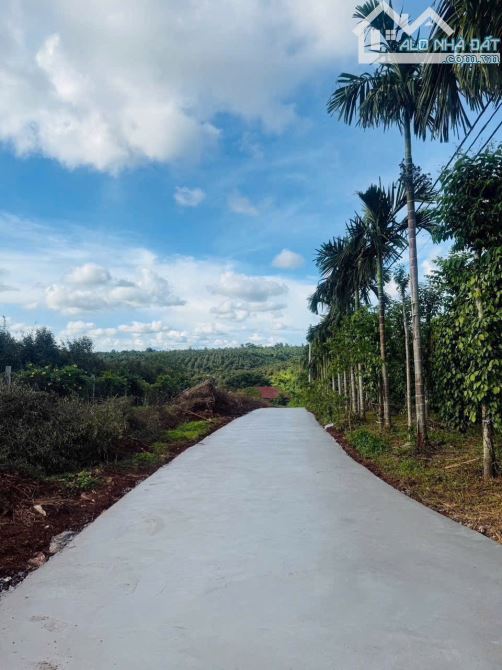 GẦN 700m2 HÒ THUẬN CŨ - BMT CHỈ 1 Tỷ 850 triệu