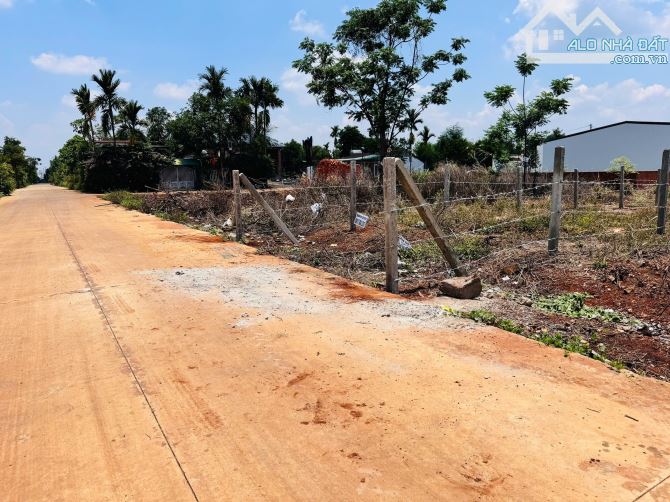 ĐẤT ĐỐI DIỆN KHU CÔNG NGHIÊP TÂN AN CÁCH TL8 300m