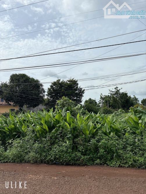 CẦN BÁN LÔ ĐẤT MẶT TIỀN ĐƯỜNG NHỰA PHƯỜNG KHÁNH XUÂN - GIÁP THÀNH NHẤT
