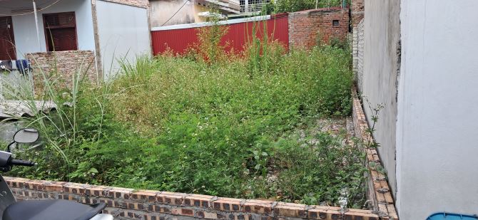 BÁN 81M2 ĐẤT AN BÌNH - THUẬN THÀNH - ĐƯỜNG Ô TÔ VÀO ĐẤT,GIÁ CHỈ HƠN 1 TỶ
