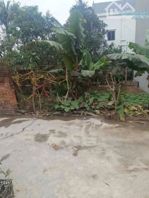 Ô TÔ VÀO TẬN ĐẤT, 2 MẶT NGÕ THOÁNG,  53M, CHỈ 2.5 TỶ