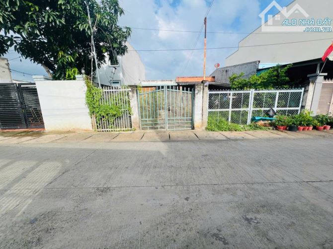 Bán đất kèm nhà cấp 4 trục chính cá đồng Hàm Thắng - 3