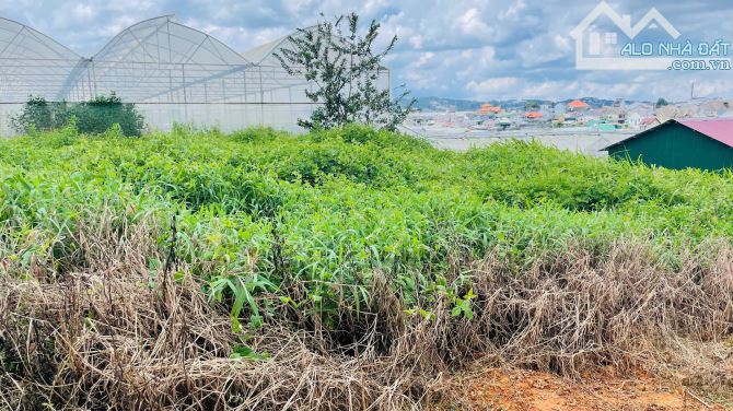 💎 Đầu Tư Siêu Lời – Mua Đất Tặng Nhà Cấp 4, Diện Tích Rộng, Pháp Lý Chuẩn!