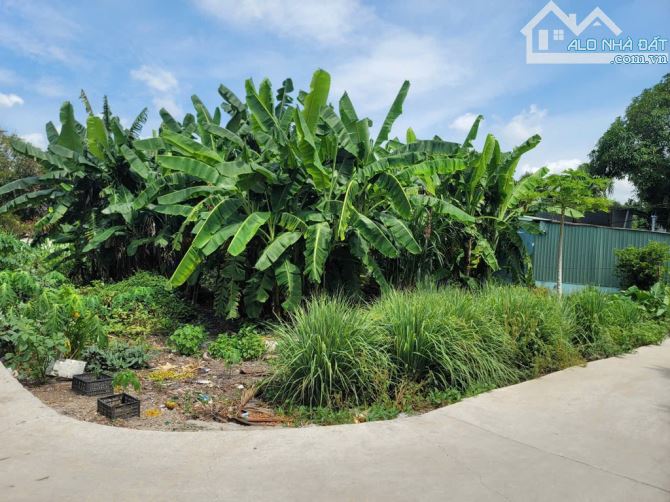 🆘️ PHAN VĂN HỚN HÓC MÔN _ LÔ GÓC 2MT 🆘️ 137M2 FUUL THỔ 🆘️ XE TẢI ĐỔ CỬA