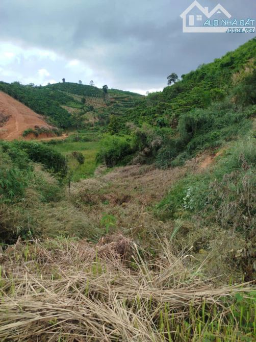 bán đất nông nghiệp tại Krông Nô, huyện Lắk, Đắk Lắk