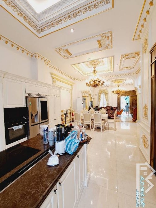 BIỆT THỰ LỘNG LẪY SIÊU VIP, KHU CƯ XÁ BẮC HẢI, 325m2, 69 TỶ