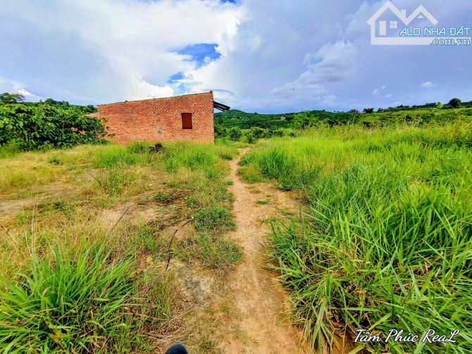 Cần bán gấp 3.270m2 đất tại xã Ninh Gia,Lâm Đồng chỉ 620 triệu