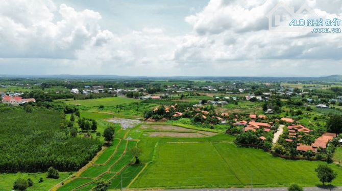 BÁN ĐẤT LÁNG DÀI - XÃ ĐẤT ĐỎ - TP HCM; VIEW RUỘNG LÚA SIÊU ĐẸP ✅DT 2000m2 - sẵn 200m2 thổ