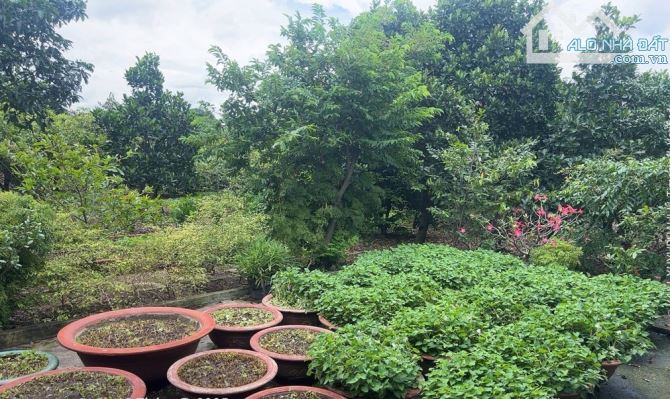 SIÊU HIẾM – Lô đất 4686M2, ngay TT Quận 2, cạnh An Phú, 120 tỷ