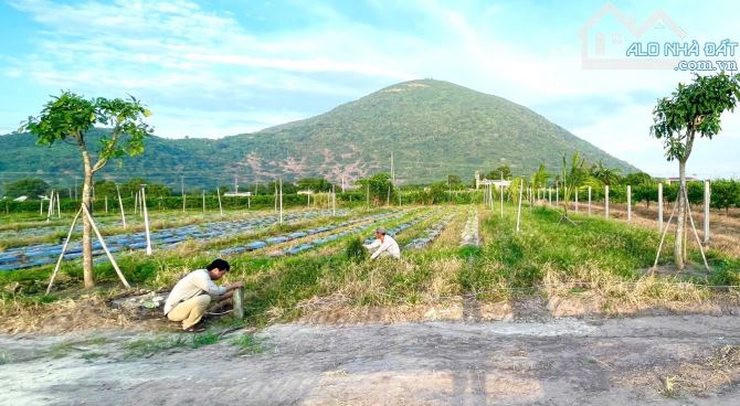 Đất view Núi Bà phường Ninh Sơn TP Tây Ninh
