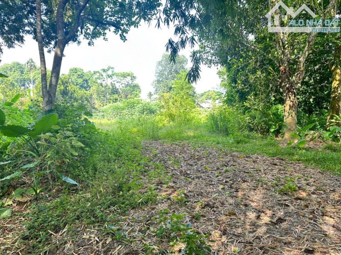 Cần bán mảnh đất 1195m giáp suối ,núi , không gian xanh tại Hoà Bình