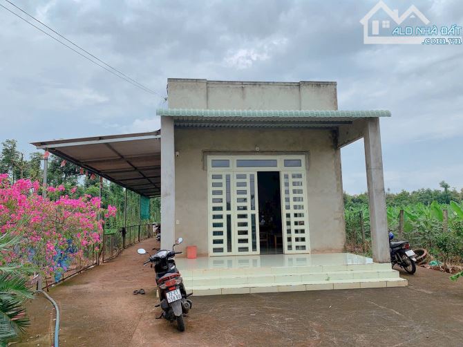 Bán khoảng 2 sào 5 (2469m2) đất xã Quảng Thành, huyện Châu Đức, BRVT.