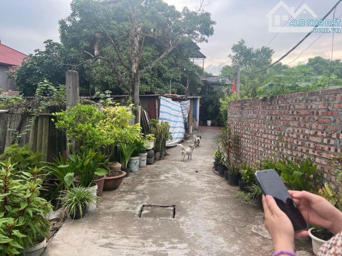 🔥🔥Đất đẹp Thôn Đông Phù Lỗ, Sóc Sơn - 68m2 giá chỉ 2tỷ tiểu học