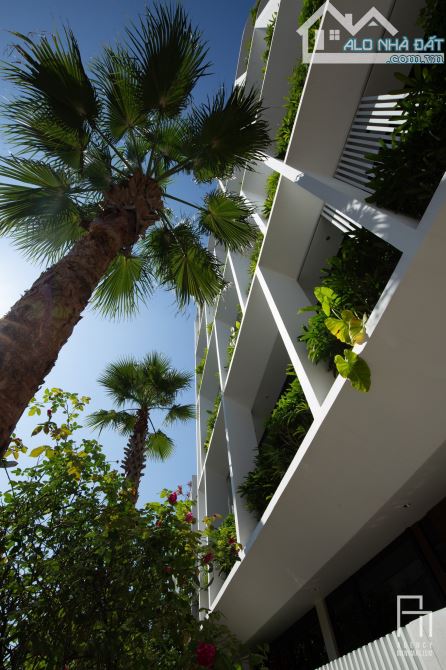 Bán đất mặt tiền Chế Lan Viên, diện tích 240m2, rất hợp xây kinh doanh lưu trú - 2