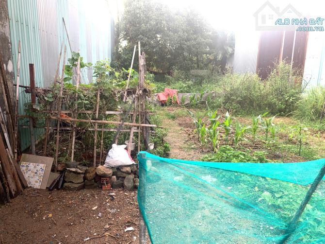 Bán đất mặt tiền Kiều Phụng, Hoà Xuân - Gần chợ Miếu Bông - 100m2 Giá 3.85 tỉ tl - 1