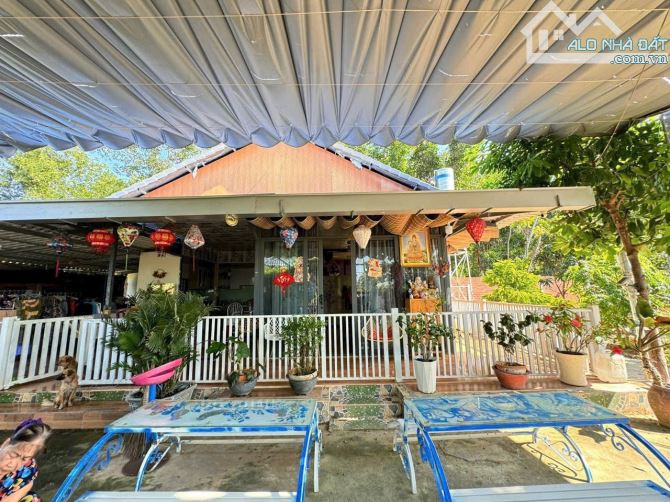 BÁN NHÀ VƯỜN RỘNG 1500M2 - LÀM HOMSTAY GẦN BIỂN LỘC AN - ĐẤT ĐỎ,BRVT - 1