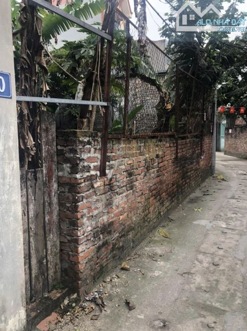 HƠN 2tỷ CÓ LÔ ĐẤT GẦN NGAY VIN CỔ LOA VÀ CẦU TỨ LIÊN ( ĐÔNG HỘI)S: 36m2 đường thông thoán - 1