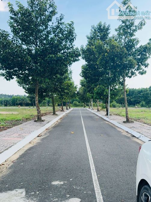 Bán 2 nền đất mặt tiền đường Lê Duẫn, Thị Trấn Trảng Bom, 1ty350, SHR. - 1