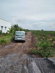 ĐẤT VƯỜN GIÁ RẺ – TÂN THÀNH, THỦ THỪA, LONG AN - 1