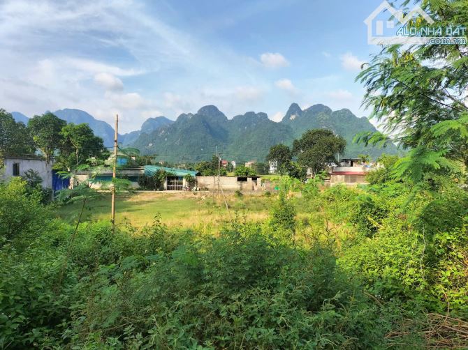 1260m ngay trung tâm thị trấn giá rẻ chỉ 3tr/m cần bán gấp Kim Bôi Hòa Bình - 1