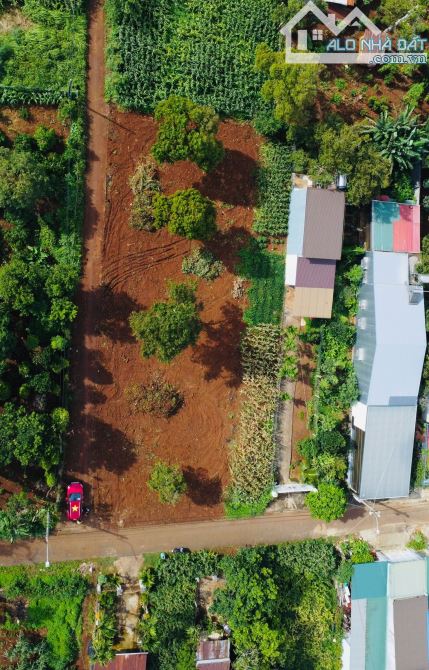 Đất Phường Tân An - Buôn Kotam Quốc Lộ 26 - 1