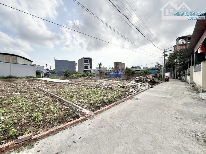 Bán đất 48,8m2 tại Cống Mỹ, Nam Sơn, An Dương giá 790 triệu - 1