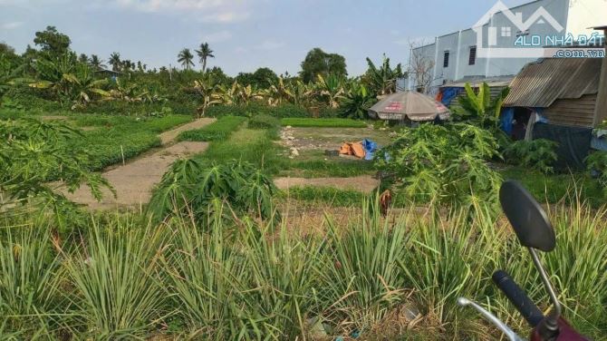 Bán gấp lô đất 90m2 450triệu Mặt Tiền Đường 65, Tân Phú Trung SHR - 1