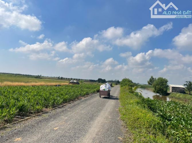 (50x52) đất nền đẹp, thổ cư b.á.n 1 tỷ 350 triệu gần biển Rạch Bùn, Tân Điền, Gò Công Đông - 1