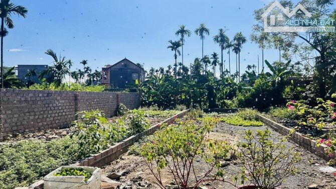 Bán đất Hoa Động trải nhựa tại Hoa Động ô tô quay đầu 87m giá chỉ 2,3x tỷ - 1