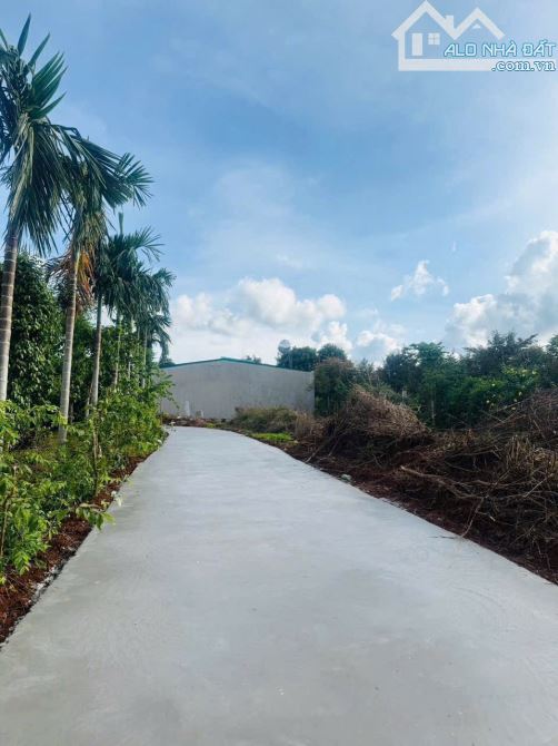 GẦN 700m2 HÒ THUẬN CŨ - BMT CHỈ 1 Tỷ 850 triệu - 1