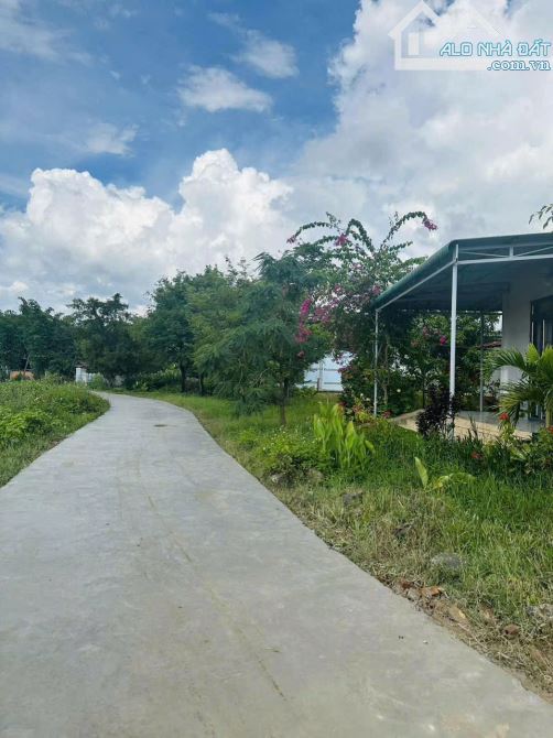 ĐẤT THỔ CƯ GIÁP HÒA KHÁNH GIÁ RẺ 248Triệu/Lô - EANA - KRONG ANA - 1